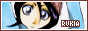88x31 Button