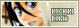 88x31 Button